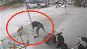 西瓜,新竹,流浪犬,攻擊,木棍（圖／翻攝畫面、新竹縣議員朱建銘提供）