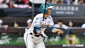 ▲中職36年例行賽，台鋼雄鷹左外野手王柏融。（圖／記者劉彥池攝影）