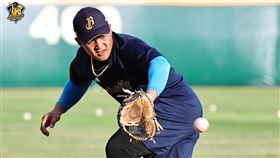 ▲中信兄弟王政順。（圖／中信兄弟提供）