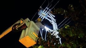 彰化伸港突然發生停電，台電指出是蛇類誤觸高壓設備。（圖／翻攝畫面）