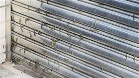 ▲蟲蟲危機 淡黃蝶幼蟲。（圖／CTWANT） 