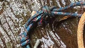 ▲外籍人士台東延平林道內北絲鬮溪溪降意外 男子墜落受傷 PLB啟動成功救援 溪流救援 河床墜落。（圖／台東縣消防局提供） 