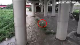 烏溪,溪水,暴漲,雷雨,釣客,受困,救援,台中（圖／翻攝畫面）