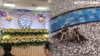 獨／女師出殯「化蛾不走」學生問1句淚崩