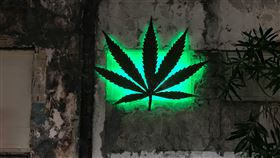 泰國成為亞洲首個大麻除罪化國家。（示意圖／unsplash）