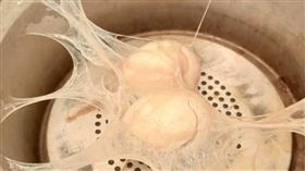 女網友用電鍋蒸雞蛋，沒想到竟把電鍋搞成「盤絲洞」，讓1.7萬名網友笑翻。（圖／翻攝自臉書）