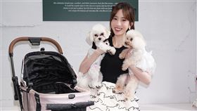 愛雅養了兩隻愛狗。（圖／記者蔡維歆攝影）