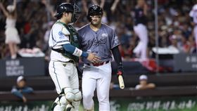 ▲味全龍陳子豪挨出身球，伸手推開阻擋衝突的台鋼雄鷹捕手張肇元。（圖／味全龍提供）