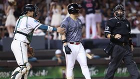 ▲味全龍陳子豪挨出身球，伸手推開阻擋衝突的台鋼雄鷹捕手張肇元。（圖／味全龍提供）