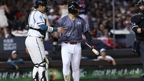 ▲味全龍陳子豪挨出身球，伸手推開阻擋衝突的台鋼雄鷹捕手張肇元。（圖／味全龍提供）