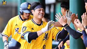 ▲中信兄弟林吳晉瑋。（圖／中信兄弟提供） 