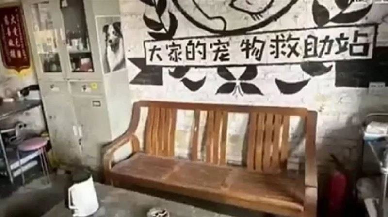 男收養流浪貓狗8年　救助站涉詐遭調查