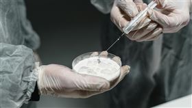 ▲百億醫美龍頭驚爆疑似造假！產品遭踢爆膠原蛋白測不到　官方緊急發聲明（圖／翻攝自PIXABAY）