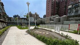 蘆洲兒七公園正式啟用　打造多功能綠地新亮點