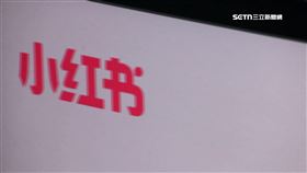 稱台無下次大選 習近平國師:有小紅書治台易