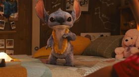 ▲真人版史迪奇大獲好評。（圖／迪士尼影業提供） 