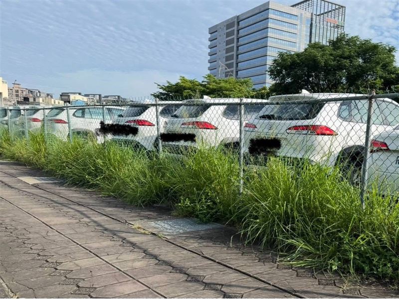 朱立倫到新竹市跟鄭正鈐、高虹安合體反罷免。周軒說,新竹市路邊的草都長這麼高了,人事已非。(圖/翻攝自周軒臉書)