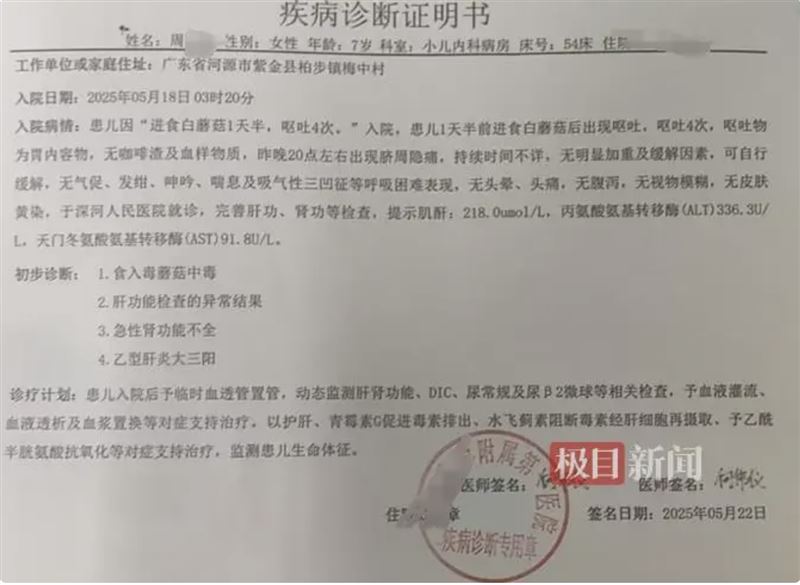 診斷書為「致死性蕈類中毒、急性肝衰竭與急性腎衰竭」。(圖/翻攝自《極目新聞》)