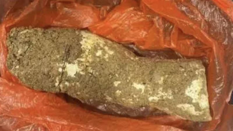 婦採超巨「條狀物」煲湯　一家4口全中毒