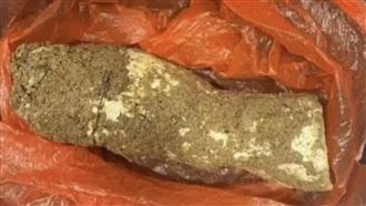 婦採超巨「條狀物」煲湯　一家4口全中毒