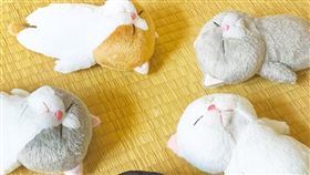 日本超人氣IP〈棒貓〉首度來台，台隆手創館棒貓周邊獨家優惠，甜美MC艾融一日店長應援。（圖／品牌業者提供）