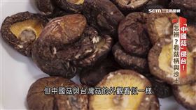 A(深一度)洗產地私菇1300