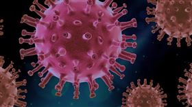 病毒。（示意圖／PIXABAY）