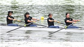 ▲釜山亞運划船女子四人單槳奪銀，前國手復出參加世壯運摘金。（圖／世壯運執委會提供） 