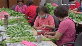 端午節限定場景 婆媽團挑揀