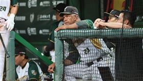 ▲台鋼雄鷹打擊教練路易士。（圖／台鋼雄鷹提供） 