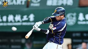 ▲中信兄弟王威晨。（圖／中信兄弟提供） 