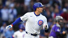 ▲鈴木誠也打回本季第50分打點，是大聯盟第1人。（圖／路透社／達志影像）