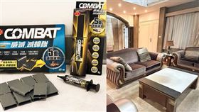 夏日滅蟑大作戰！Combat威滅1日殲滅9成　整窩連卵速效殺蟑（業配勿用）