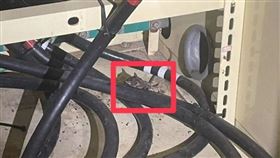 老鼠觸碰用電設備，造成迴路異常讓成大宿舍停電。（圖／成大提供） 