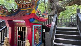 ▲車籠埔福德樟公。（圖／記者田筱琪攝影）