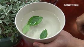 ▲午時水有各種淨化功效。（示意圖／三立新聞網）