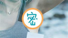 腋下 腋毛 圖／翻攝自pixabay https://pixabay.com/photo-3345157/