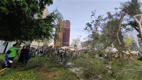 龍舟,壓傷,樹幹,民眾