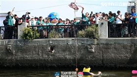 台南,體育署,溺水,水域,安全