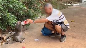 無視動物園禁餵規定　男拿牛奶餵獼猴