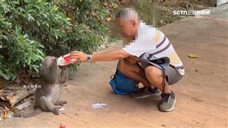 無視動物園禁餵規定　男拿牛奶餵獼猴
