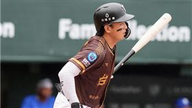 ▲台鋼雄鷹郭阜林。（圖／台鋼雄鷹提供） 