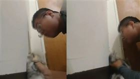 林男還將虐貓過程影像上傳。（圖／翻攝Dcard）