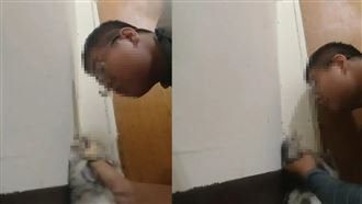 殘忍勒貓脖掄牆慘死　憲兵還拍片給班長看