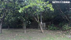 ▲北市鄭翁陳屍在安康路上的草地，警方正在釐清死因。（圖／翻攝畫面）