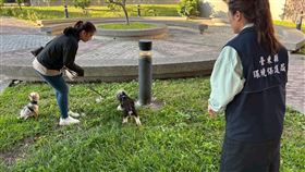 台東縣環保局指出，若沒有即時清除犬便，可依廢棄物清理法開罰。（圖／翻攝畫面）