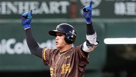 ▲台鋼雄鷹高聖恩。（圖／台鋼雄鷹提供） 