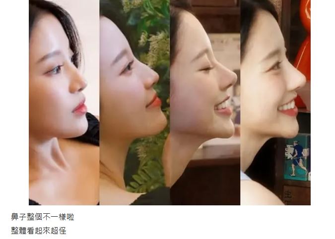 網友放出蔡瑞雪的鼻子比對照。(圖/翻攝自Dcard)