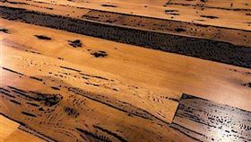 ▲ 木材經鐵礦奈米晶體強化後性能倍增，有望成為兼具環保與強度的低碳建材新選擇。（圖／永續新聞網官網） 