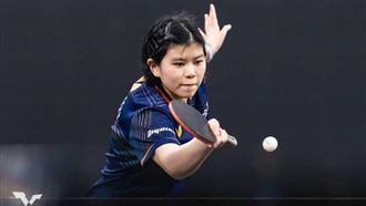 桌協這1聲明偷換概念　律師：後面都屁話